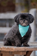 Foulards pour chien