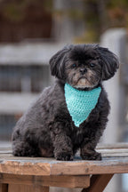 Foulards pour chien
