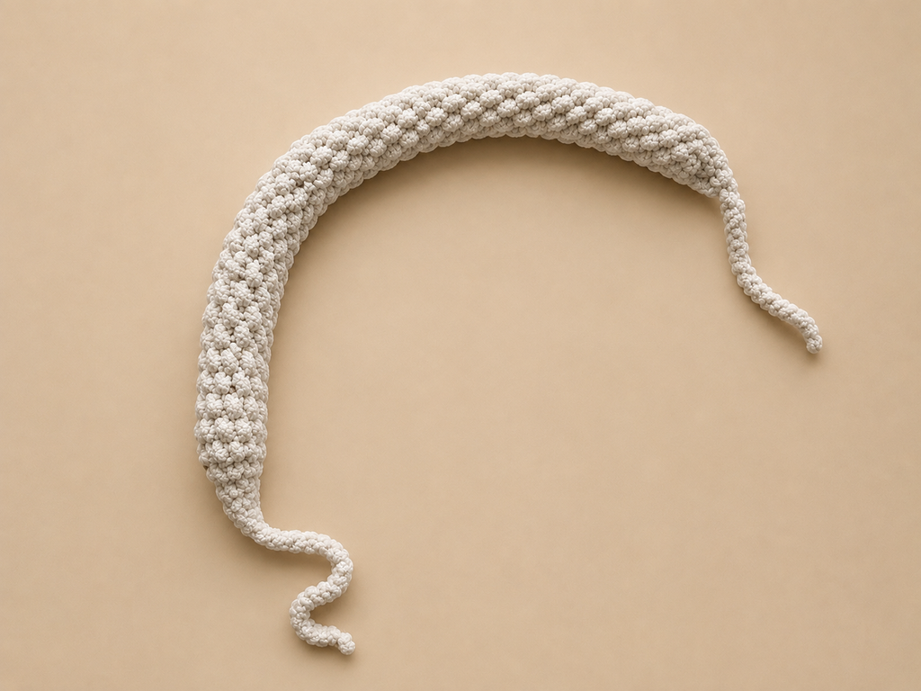 Bandeau pour boucles sans chaleur