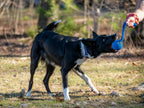 Tug pour chiens